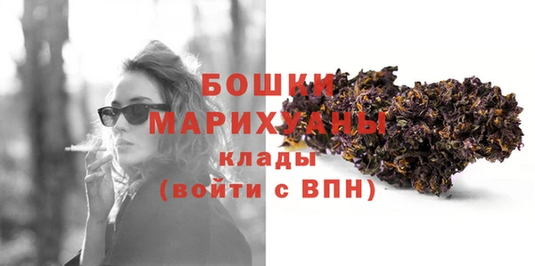 мдпв Волосово