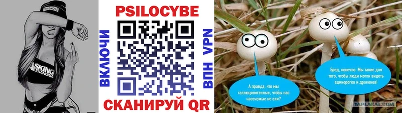 Галлюциногенные грибы Psilocybine cubensis  Ростов-на-Дону 